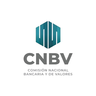 Logo CNBV